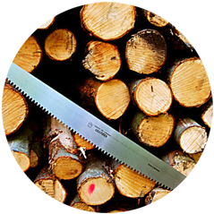 Wood & Timber